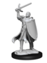 D&D Unpainted Minis: Half-Elf Paladin Male (WV14)