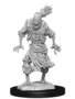 D&D Unpainted Minis: Scarecrow & Stonecursed (WV14)