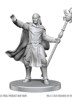 D&D NMM Unpainted Miniatures Wv28: Drow Mage & Yochlol