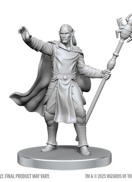 D&D NMM Unpainted Miniatures Wv28: Drow Mage & Yochlol