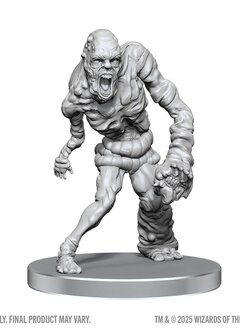 D&D NMM Unpainted Miniatures Wv28: Rutterkin & Maw Demon