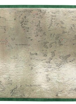 Dice Scroll D&D AAE: Drizzt & The Forgotten Realms Premium Map