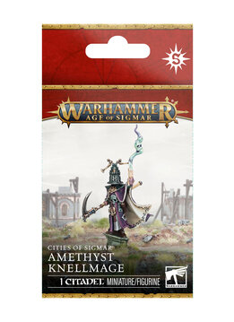 Cities Of Sigmar: Amethyst Knellmage