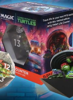 MTG TMNT 55Mm Spindown D20