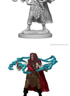 D&D Unpainted Minis: Human Male Sorcerer