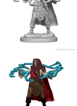 D&D Unpainted Minis: Human Male Sorcerer