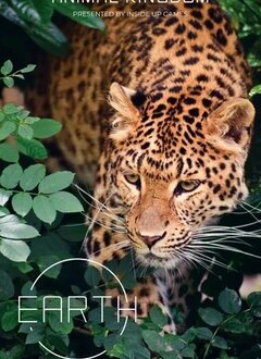 Earth: Animal Kingdom (EN)
