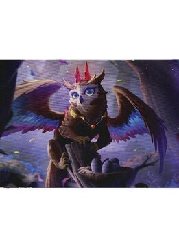 Dragon Shield Art Playmat & Tube The Dragowlis