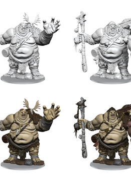 Dnd Frameworks Mini: Hill Giant