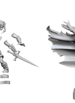 Dnd Frameworks Mini: Wight