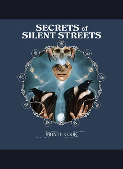 Invisible Sun Secrets of Silent Streets