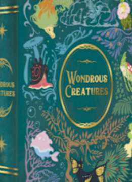 Wondrous Creatures (FR) Endommagé 10%