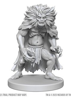 D&D Nolzur's Miniatures Wv28: Classic Wight & Classic Wraith