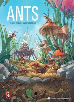 Ants (EN)