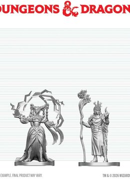 D&D Unpainted Minis Wv29 Human Druid & Elf Sorcerer