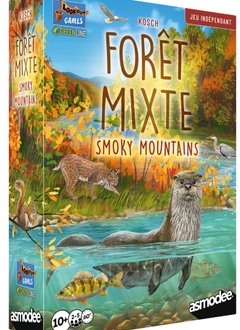 Foret Mixte - Smoky Mountains (FR)