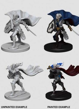 PF Unpainted Minis: Elf Female Paladin