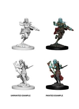 D&D Unpainted Minis: Air Genasi Female Rogue