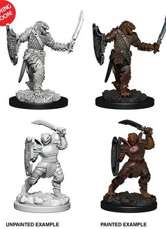 D&D NMM Unpainted: Wave 5: Dragonborn Female Paladin