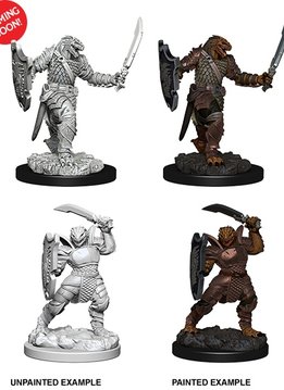 D&D NMM Unpainted: Wave 5: Dragonborn Female Paladin
