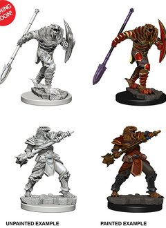 D&D Nolzur's Marvelous Unpainted Miniatures: Wave 5: Dragonborn Male Fighter