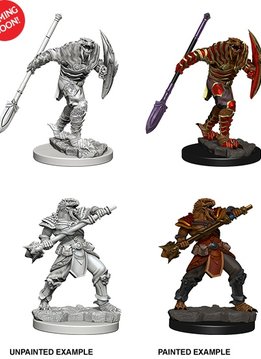 D&D Nolzur's Marvelous Unpainted Miniatures: Wave 5: Dragonborn Male Fighter