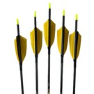 Pinals Made Arrow Furious 4.2 900 3" Feather Yellow 80Gr 29" Ea