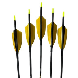 Pinals Made Arrow Furious 4.2 900 3" Feather Black/Yellow 80Gr 29" Ea
