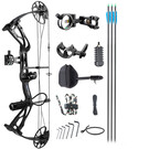 Sanlida Compound Bow Dragon X8 RH 3xArrow Kit