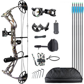 Sanlida Compound Bow Dragon X8 RH 4xA  Soft Case Kit