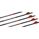 EASTON TECHNICAL PRODUCTS Made Arrow Easton Bloodline 240, 2"V, (Box6)