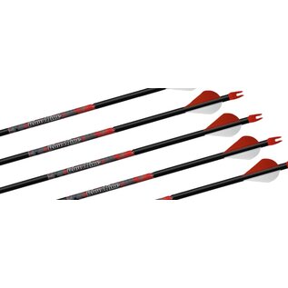 EASTON TECHNICAL PRODUCTS Made Arrow Easton Bloodline 240, 2"V, (Box6)