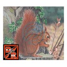 SR Archery TGT-Face-Animal Squirrel Ea
