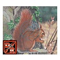 SR Archery TGT-Face-Animal Squirrel Ea