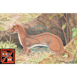 SR Archery TGT-Face-Animal Ermine Ea