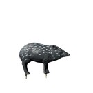 Cougar TB-3D Javalina - Cougar Target