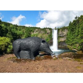 Cougar TB-3D Potbelly Pig - Cougar Target