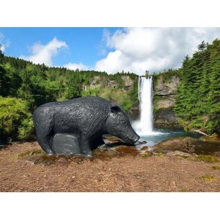 Cougar TB-3D Potbelly Pig - Cougar Target