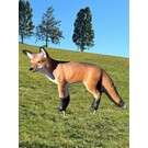 Cougar TB-3D Fox - Cougar Target
