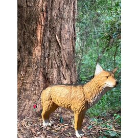 Cougar TB-3D Dog - Cougar Target