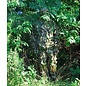 Redzone HA - Leaf Camo 3D Suit