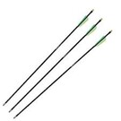 crosman Made Arrow Glass  25"