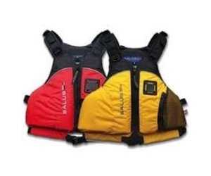 salus canvas backpack