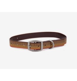 dog collar online shopping