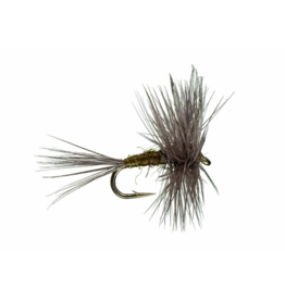 Montana Fly Co. Traditional BWO Dry