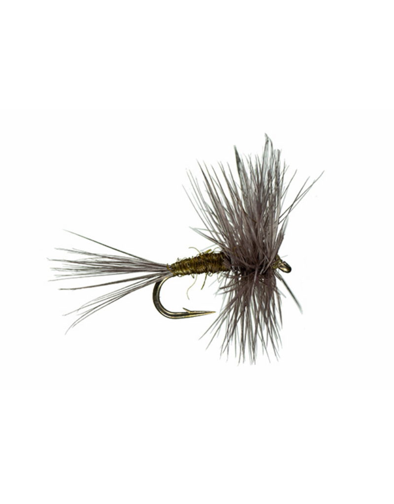 Montana Fly Co. Traditional BWO Dry