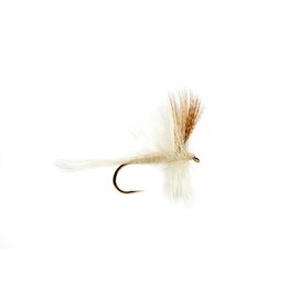 Light Cahill Dry Fly