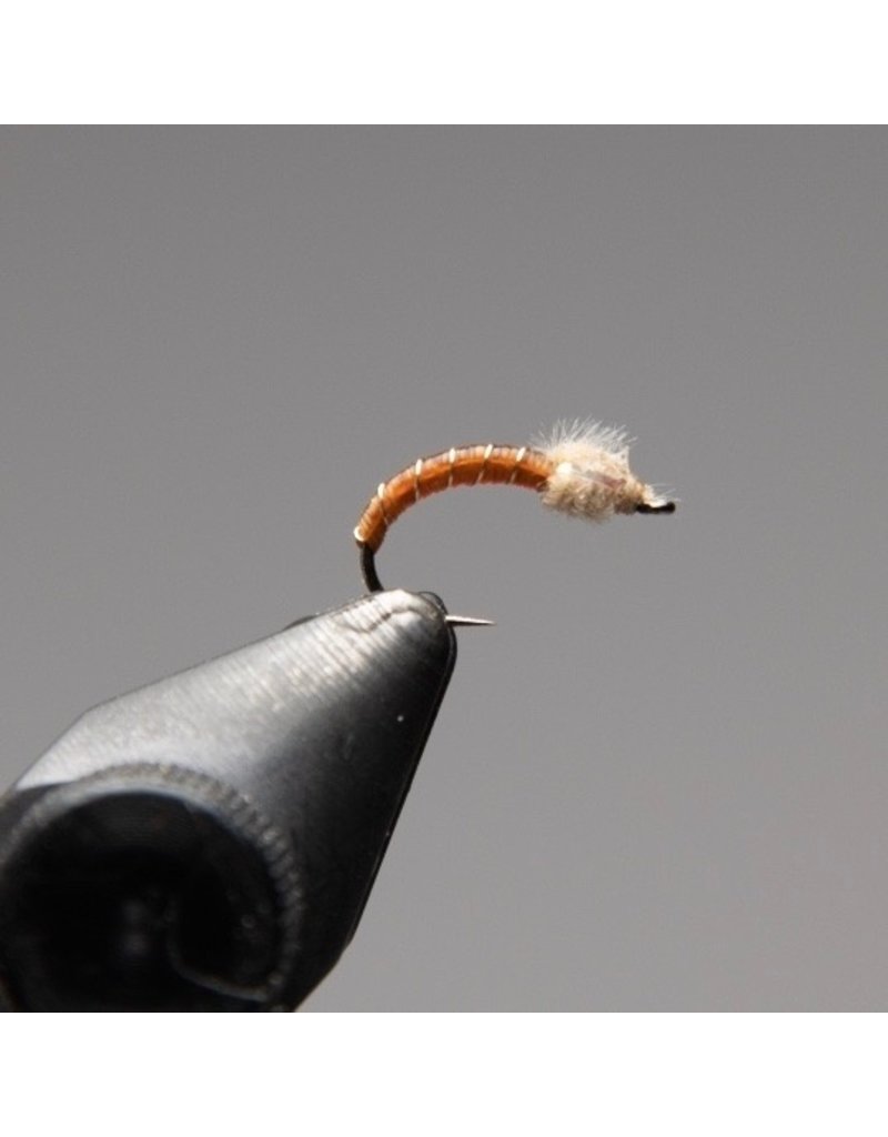 Yellow Cranefly Larva #18 *Local Favourite* - Drift Outfitters