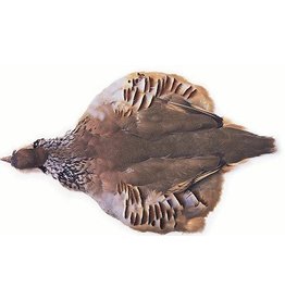 Wapsi Wapsi Chuckar Feathers