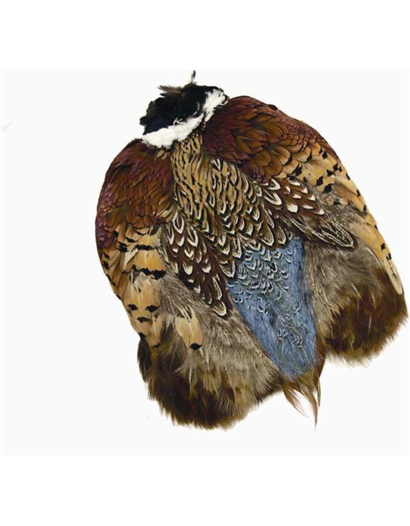 Wapsi Wapsi Ringneck Pheasant Skin